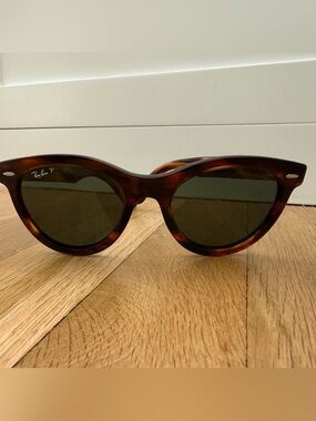 Ray-Ban Wayfarer Way Polarized Sunglasses